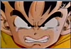 dbz005-7.jpg