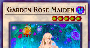 Garden Rose Maiden