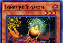 Lonefire Blossom