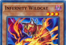 Infernity Wildcat