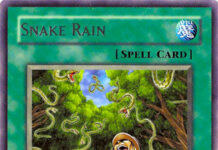 Snake Rain