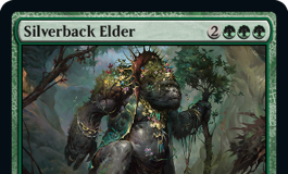 Silverback Elder