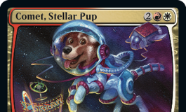 Comet, Stellar Pup