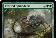 Evolved Spinoderm