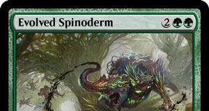 Evolved Spinoderm