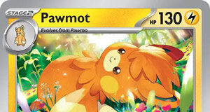 Pawmot SV_006