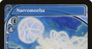 Narcomoeba