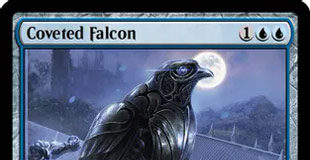 Coveted Falcon