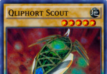 Qliphort Scout