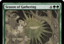 Season of Gathering