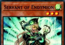 Servant of Endymion