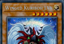 Winged Kuriboh LV6