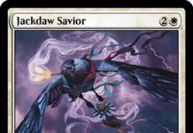 Jackdaw Savior