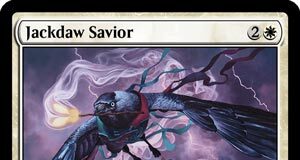 Jackdaw Savior