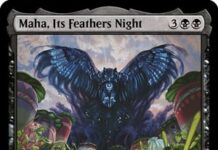 Maha, Its Feathers Night