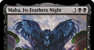 Maha, Its Feathers Night