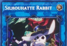 Silhouhatte-Rabbit