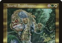 Anurid Brushhopper