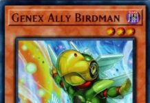 Genex Ally Birdman