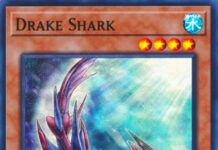 Drake Shark