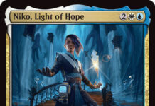 Niko, Light of Hope