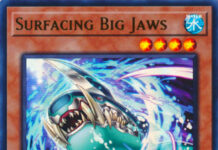 Surfacing Big Jaws