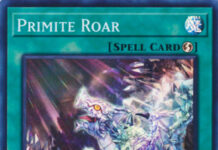 Primite Roar