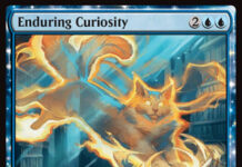 Enduring Curiosity