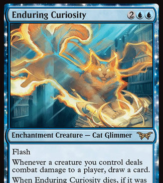 Enduring Curiosity