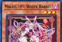 Maliss P White Rabbit