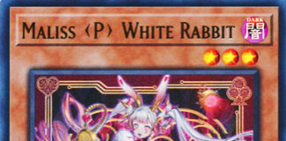 Maliss P White Rabbit