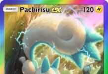 Pachirisu ex