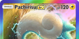 Pachirisu ex