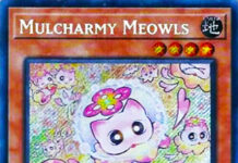 Mulcharmy Meowls