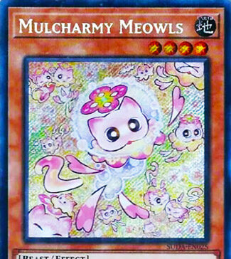 Mulcharmy Meowls